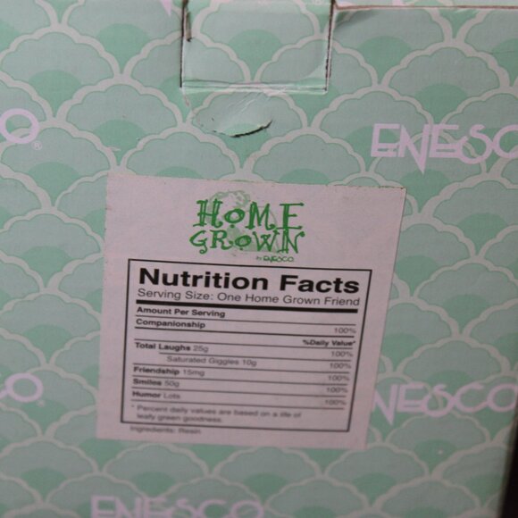 Enesco Home Grown Eggplant Duck Figurine 2004 Anthropomorphic with Box - Picture 6 of 6